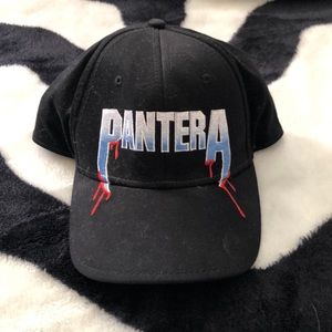 Pantera baseball hat 🧢